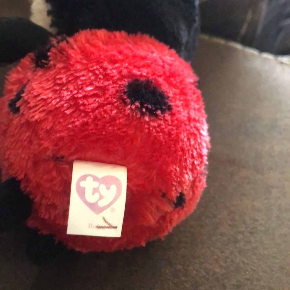 Ty beanie - Picture 5 of 6